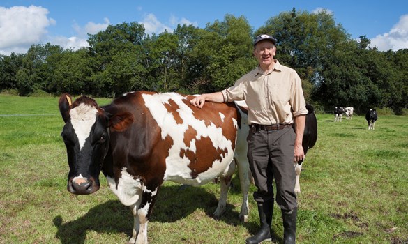a man standing next to a cow